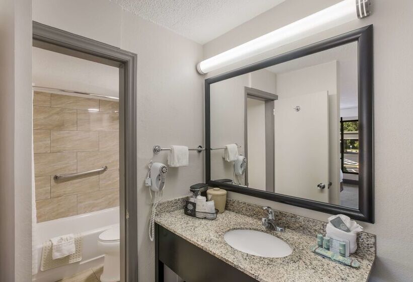 酒店 Best Western Asheville Blue Ridge Parkway