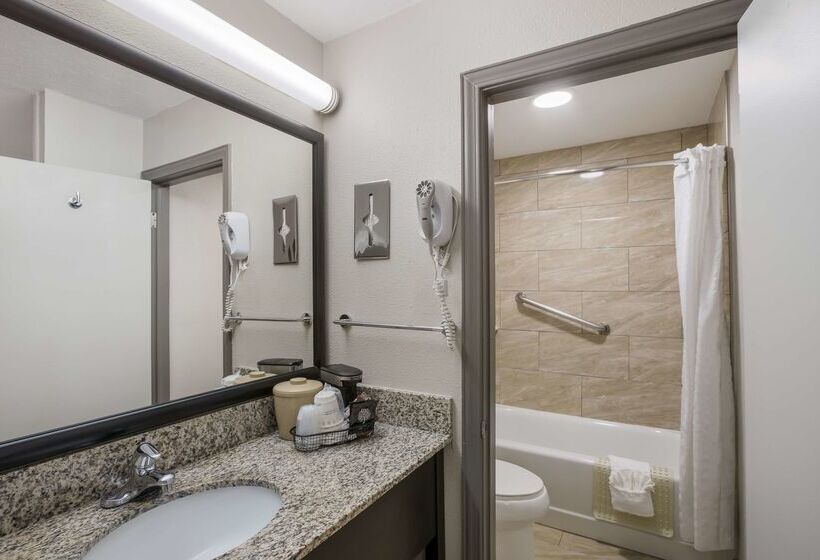 酒店 Best Western Asheville Blue Ridge Parkway