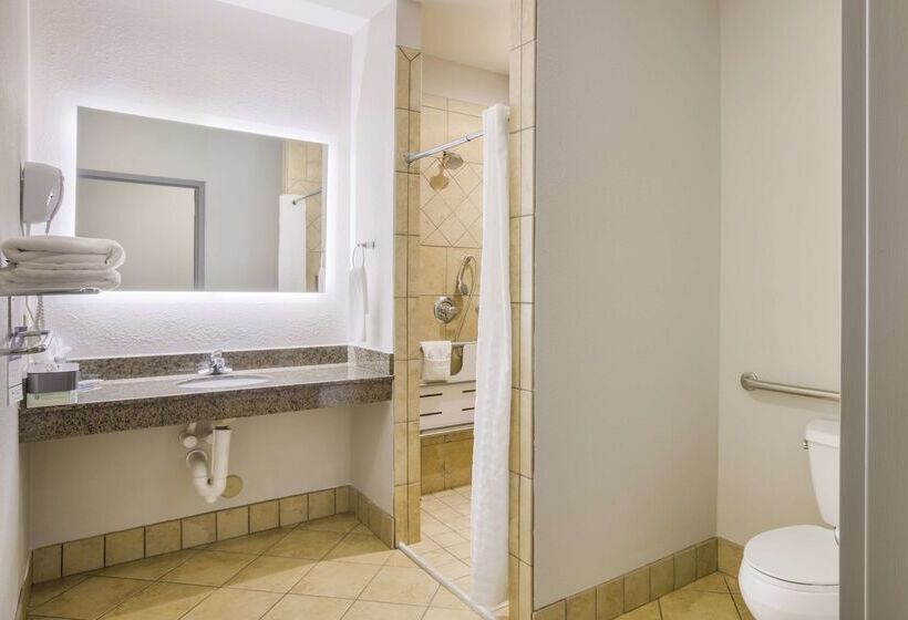 酒店 Best Western Asheville Blue Ridge Parkway