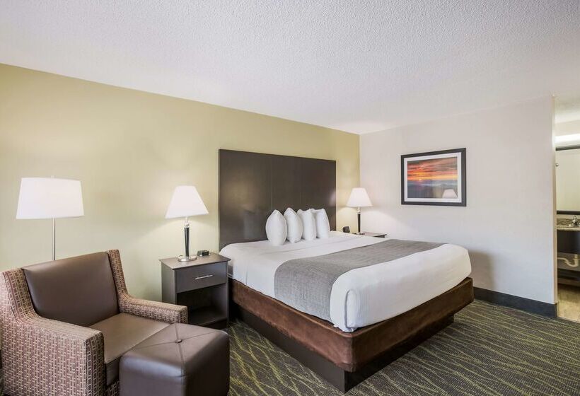 בית מלון כפרי Best Western Asheville Blue Ridge Parkway