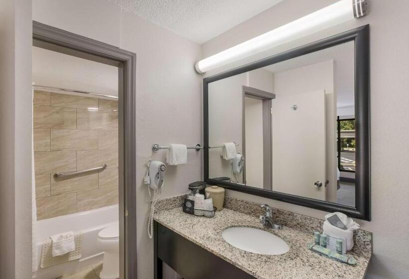 酒店 Best Western Asheville Blue Ridge Parkway