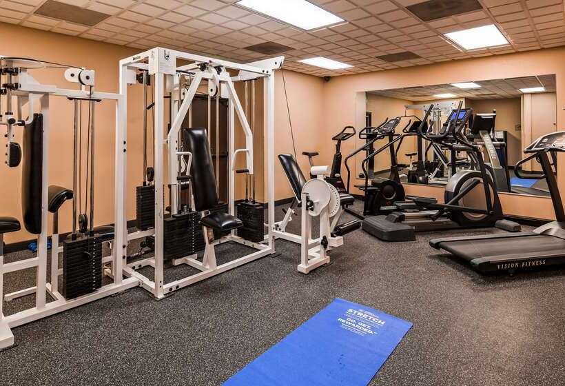 فندق Best Western Bidarka Inn