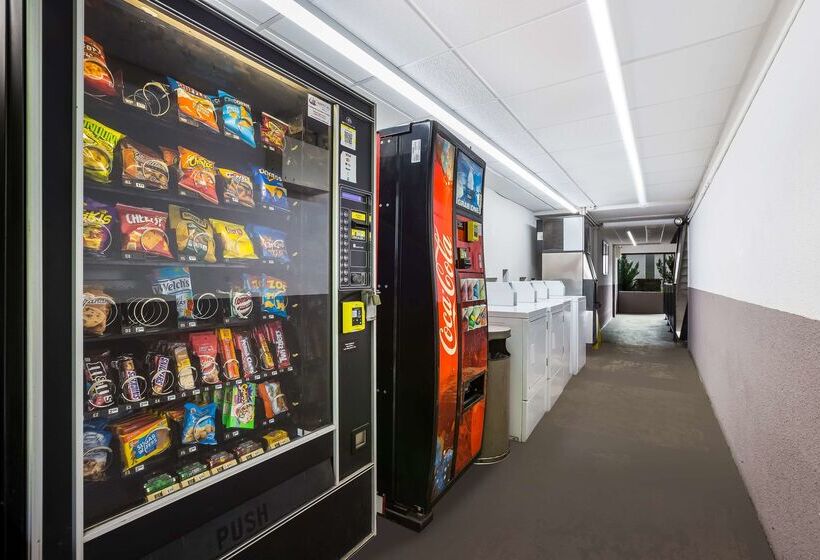 酒店 Best Western Bordentown Inn