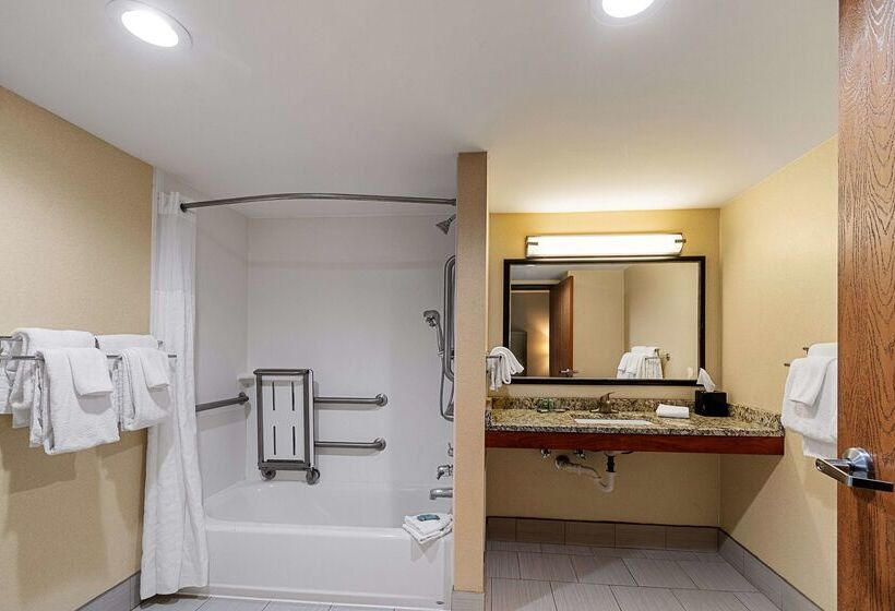 هتل Best Western Bridgeview