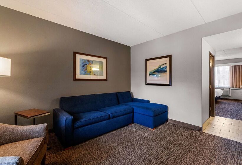 هتل Best Western Bridgeview