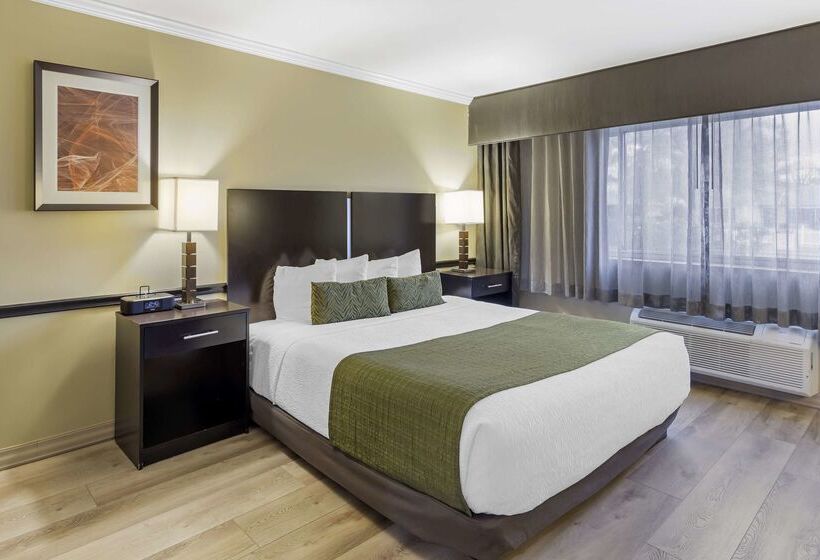 فندق Best Western Canoga Park Motor Inn