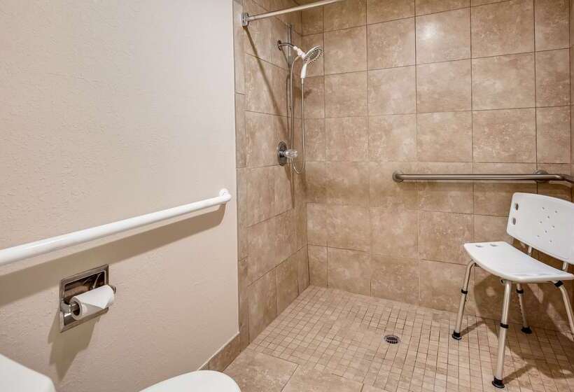 호텔 Best Western Canton Inn