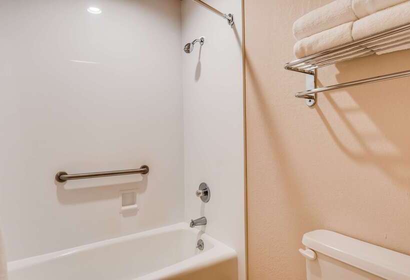 בית מלון כפרי Best Western Canton Inn