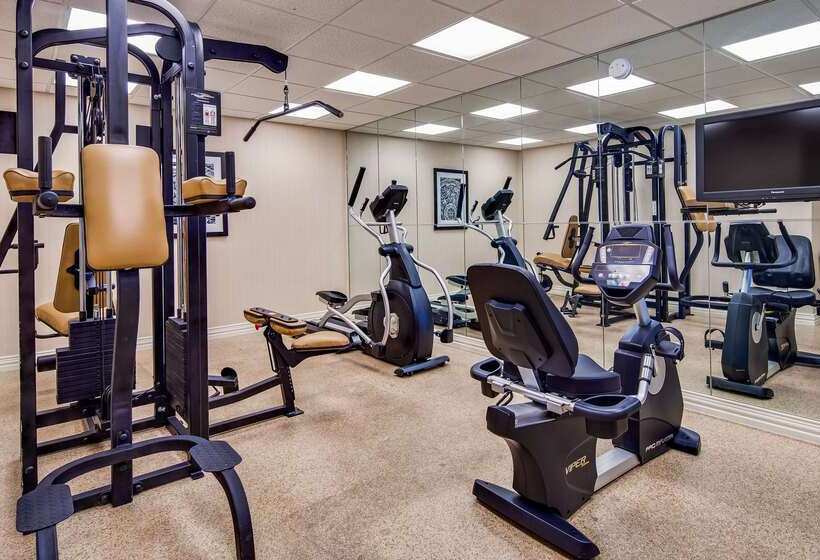 בית מלון כפרי Best Western Canton Inn