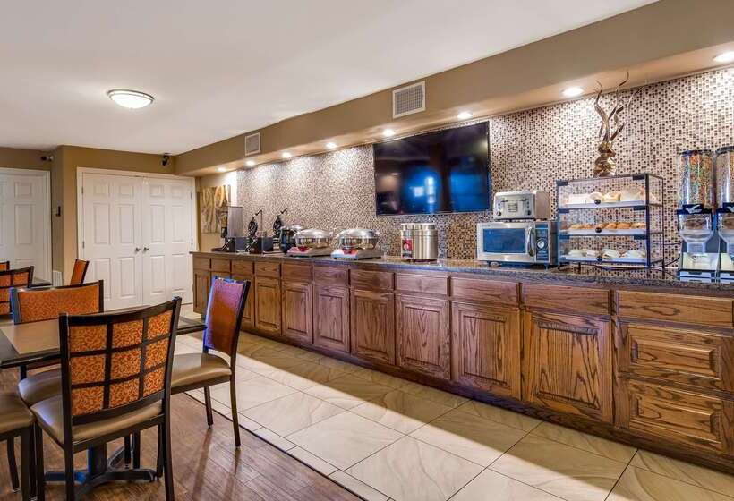 호텔 Best Western Canton Inn