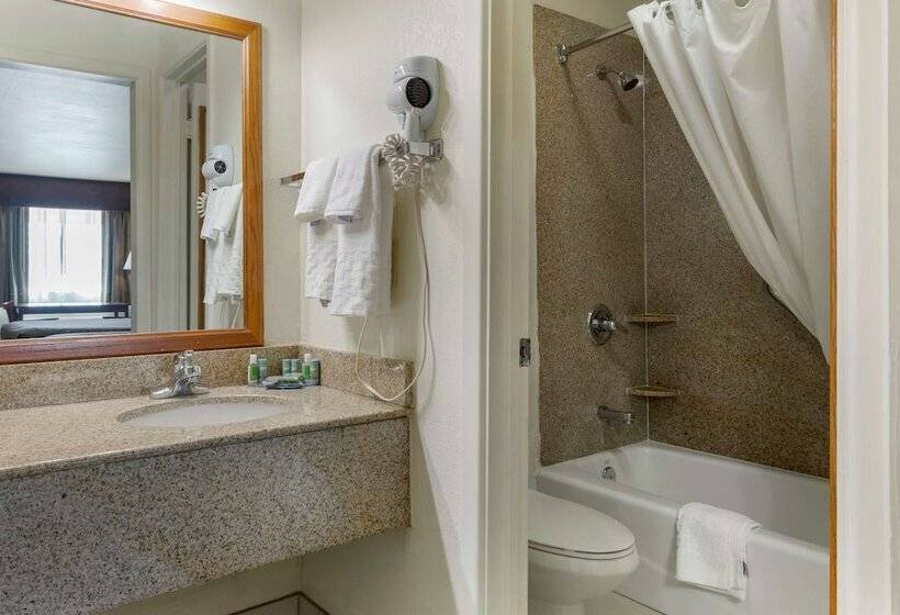 호텔 Best Western Caprock Inn