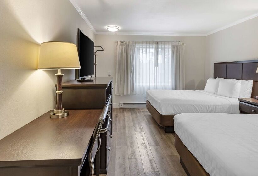 בית מלון כפרי Best Western Carmels Town House Lodge