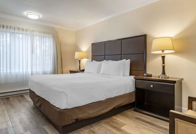 ホテル Best Western Carmels Town House Lodge