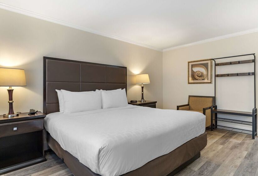 בית מלון כפרי Best Western Carmels Town House Lodge