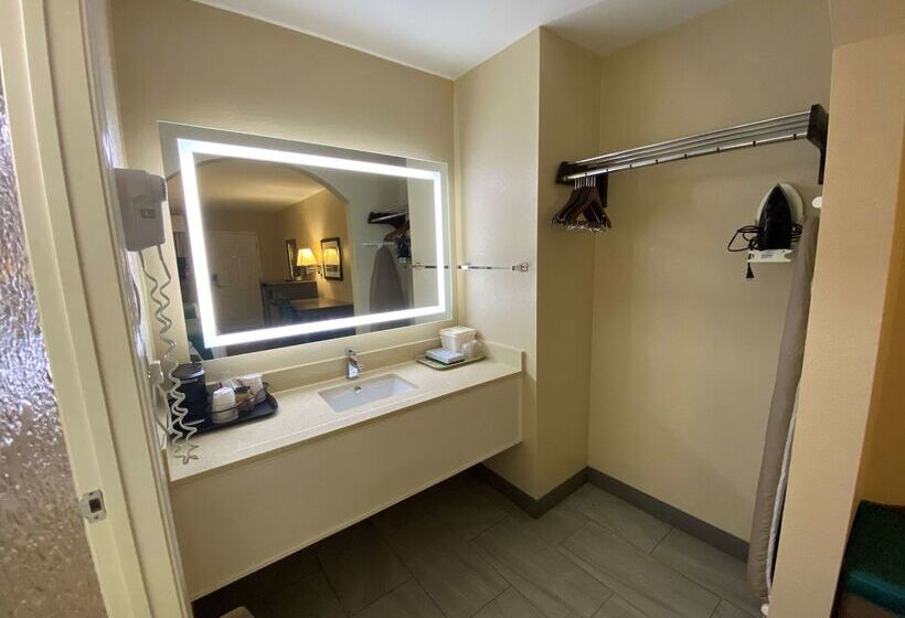 酒店 Best Western Catalina Inn