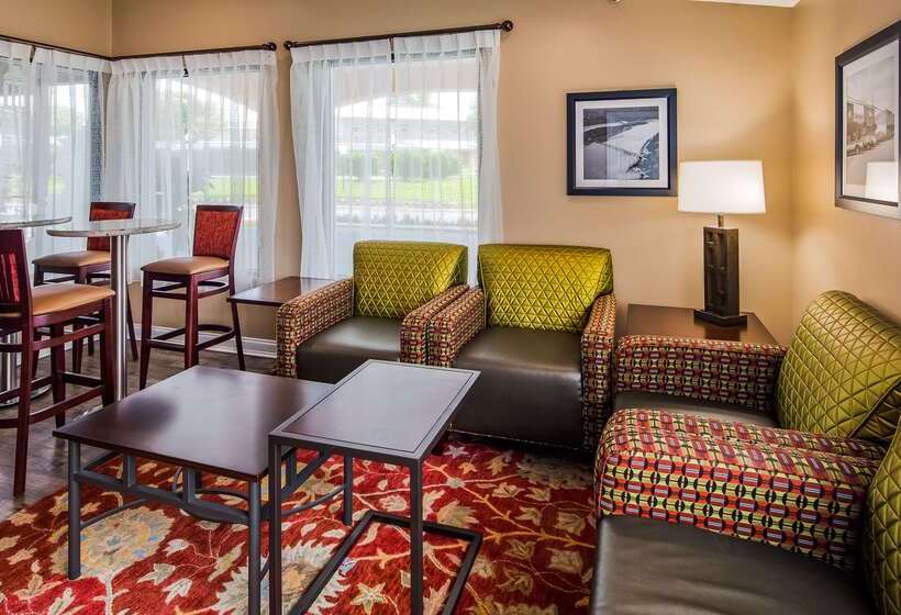 酒店 Best Western Catalina Inn