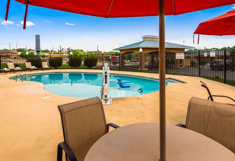 酒店 Best Western Catalina Inn