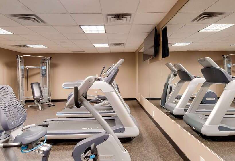 فندق Best Western Cottontree Inn