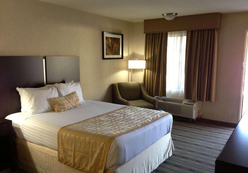 ホテル Best Western Country Inn Temecula