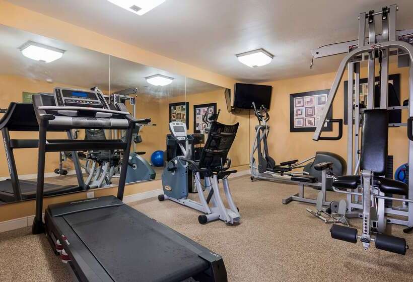 ホテル Surestay Plus By Best Western Covington