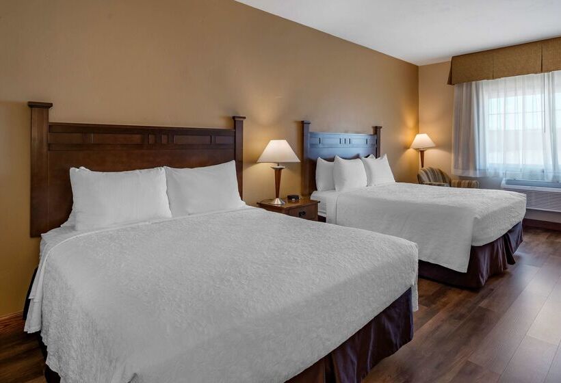 فندق Best Western Desert Inn