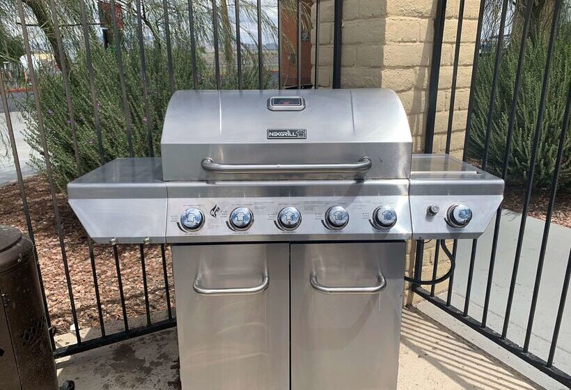 فندق Best Western Desert Oasis