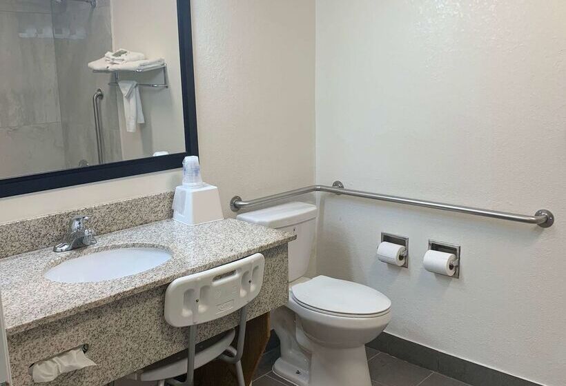 فندق Best Western Desert Oasis