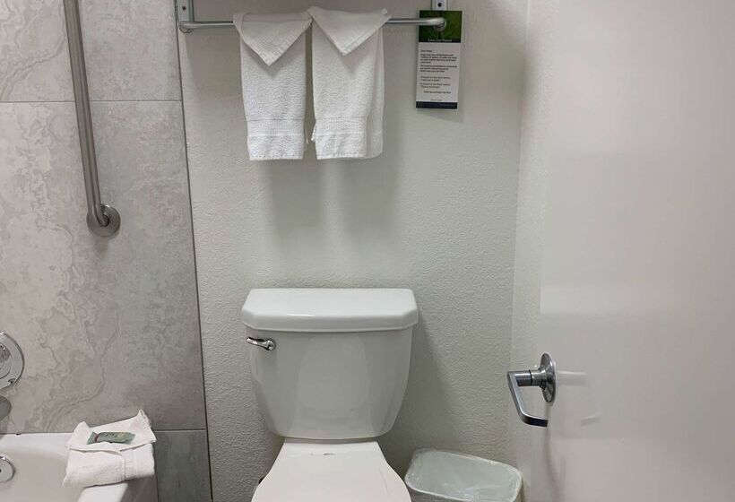 هتل Best Western Desert Oasis