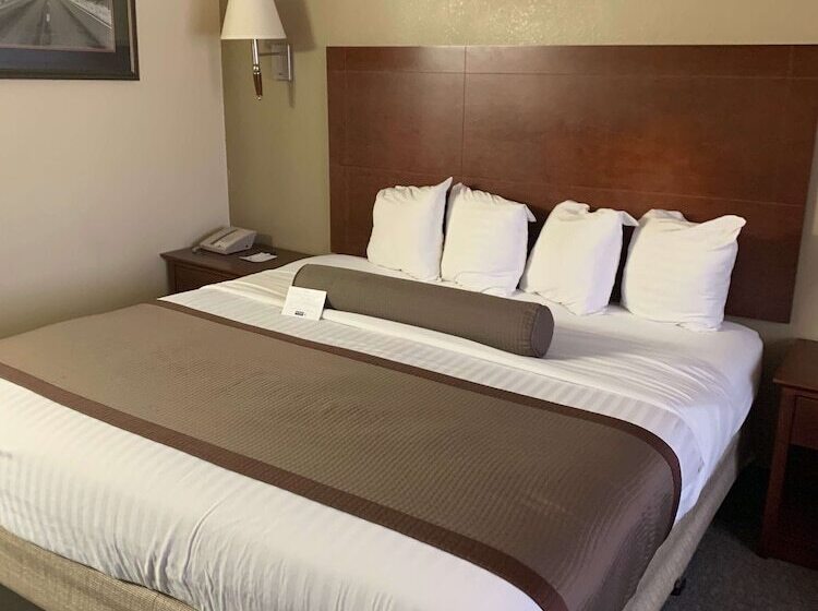 هتل Best Western Desert Oasis