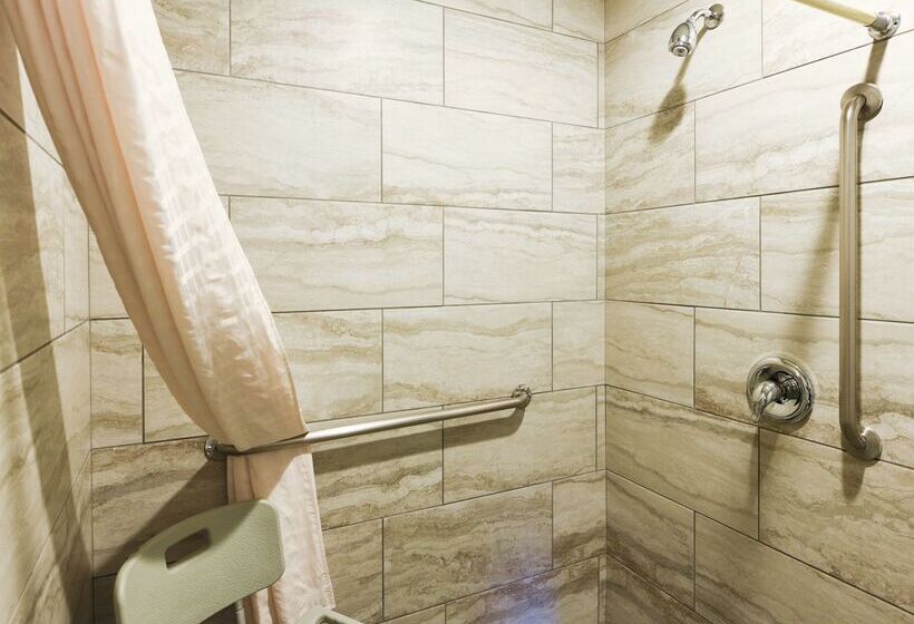 فندق Best Western Desert Villa Inn