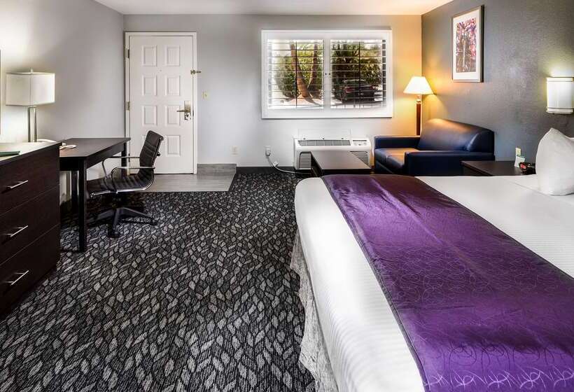 فندق Best Western Desert Villa Inn