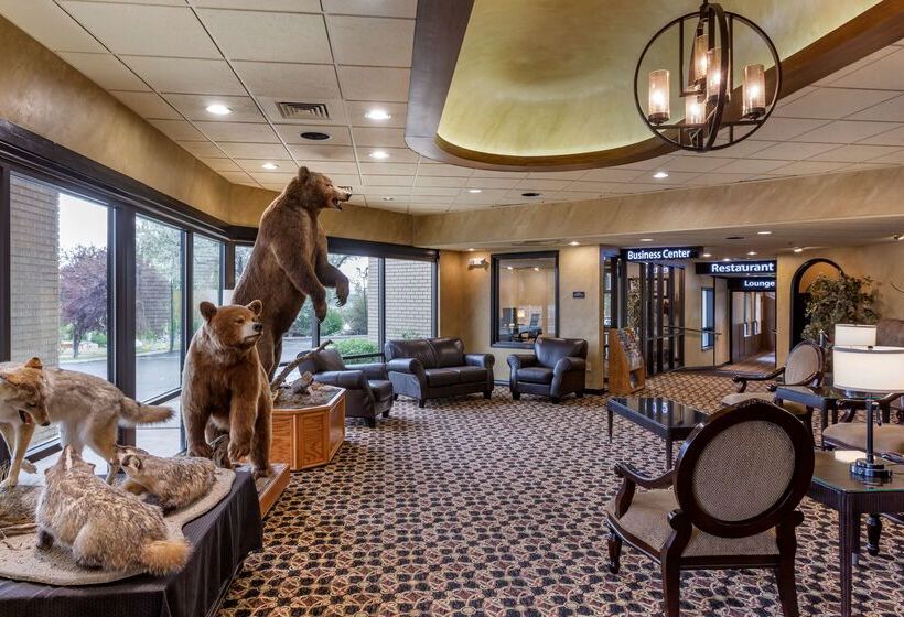 فندق Best Western Dunmar Inn