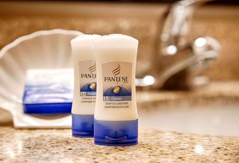 فندق Best Western El Grande Inn