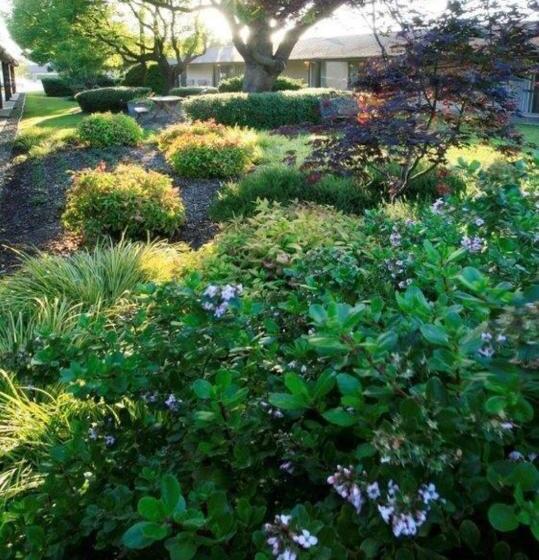 فندق Best Western Garden Inn