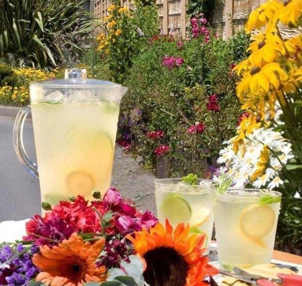 فندق Best Western Garden Inn