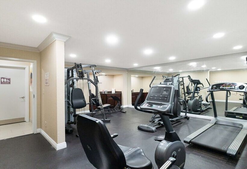 فندق Best Western Gold Country Inn