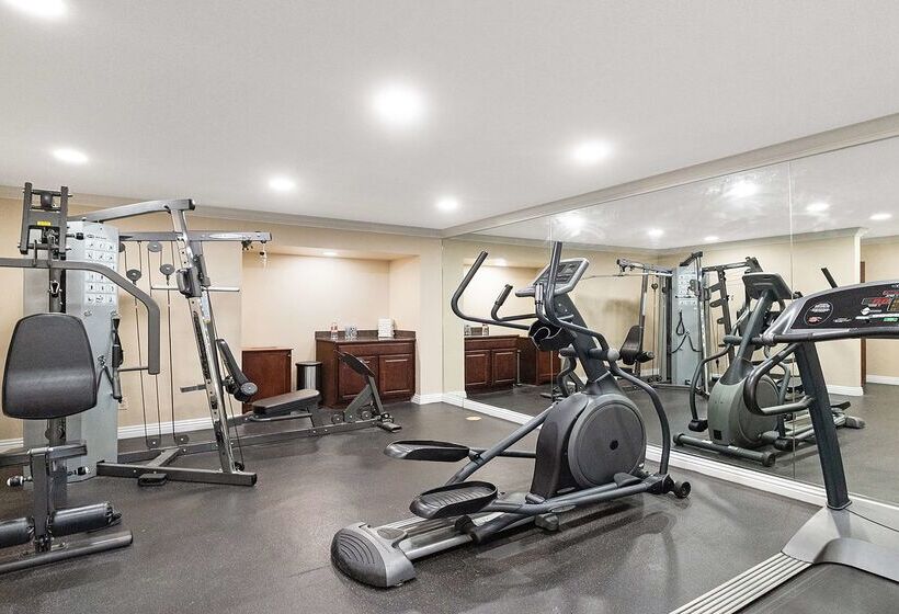 酒店 Best Western Gold Country Inn