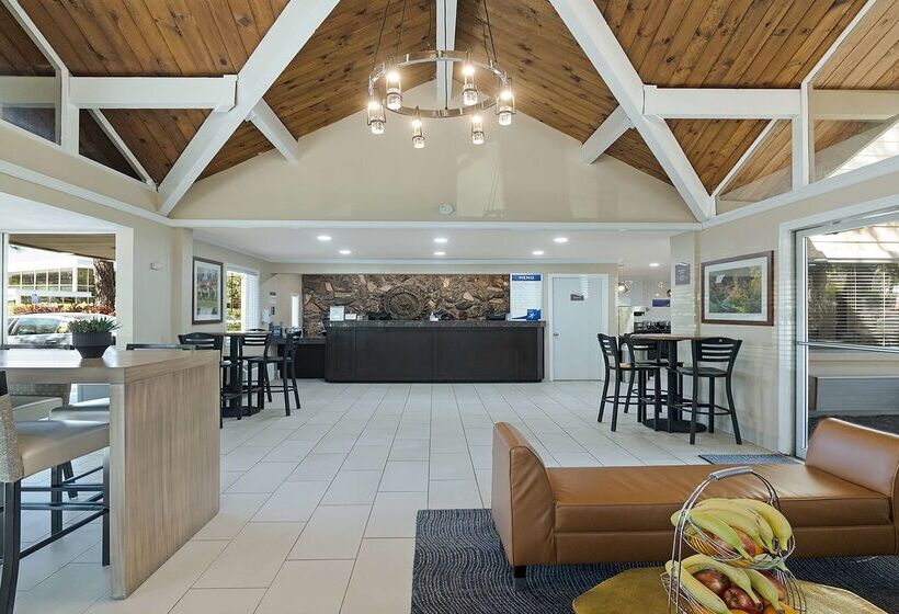 酒店 Best Western Gold Country Inn