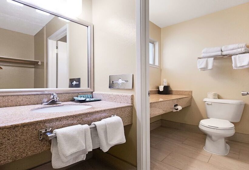 酒店 Best Western Gold Country Inn