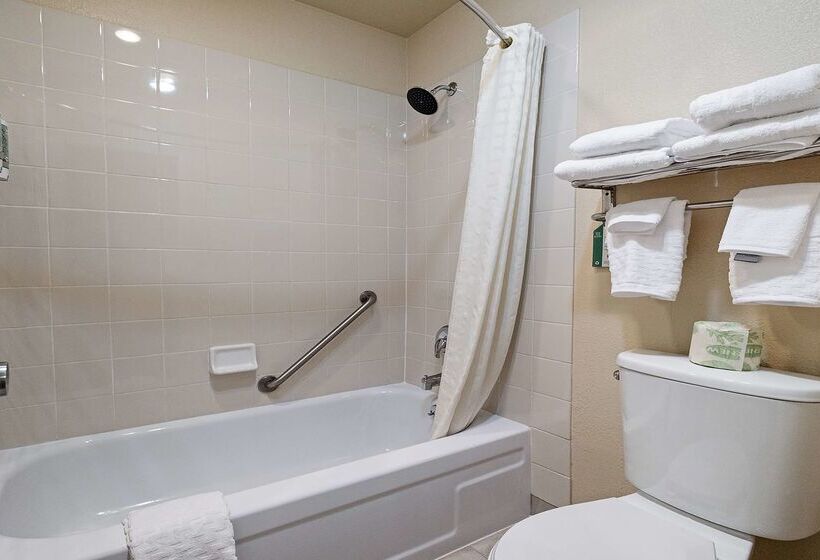 酒店 Best Western Gold Country Inn