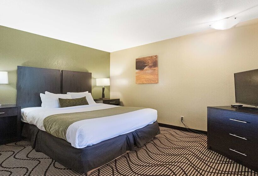 酒店 Best Western Gold Country Inn