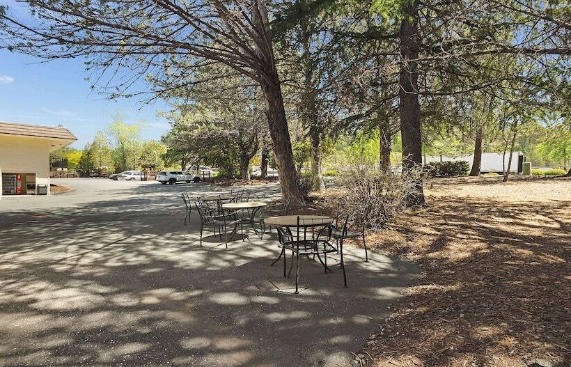 酒店 Best Western Gold Country Inn