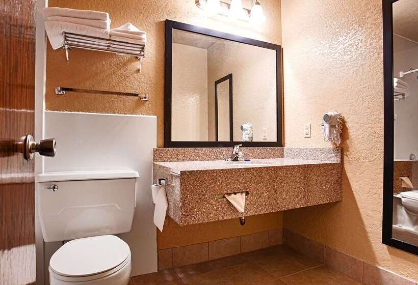 Отель Best Western Green Bay Inn And Conference Center