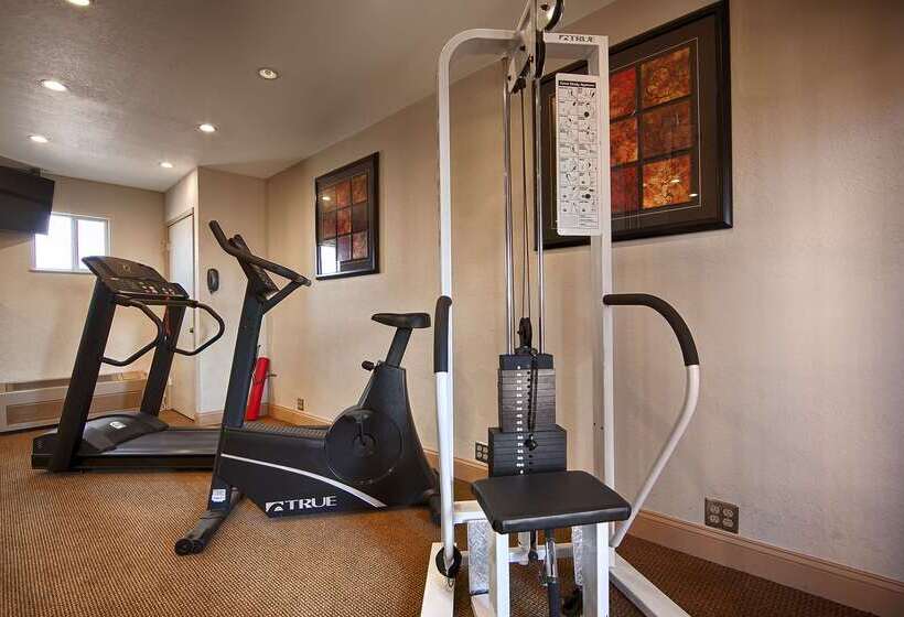 فندق Best Western Inn