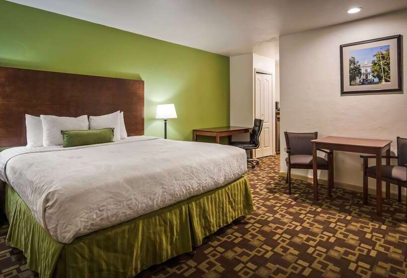 فندق Best Western Inn