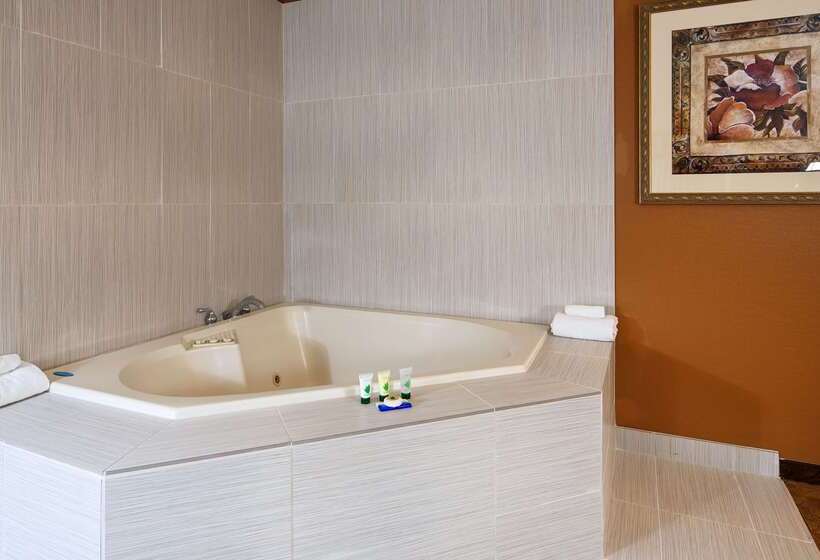 酒店 Best Western Inn Of St. Charles