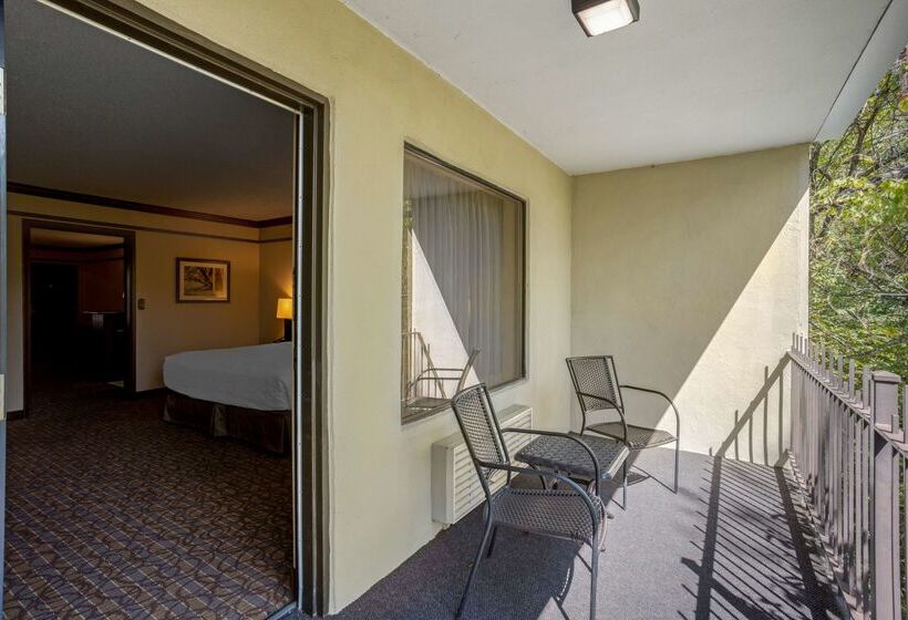 هتل Best Western Inn Of The Ozarks