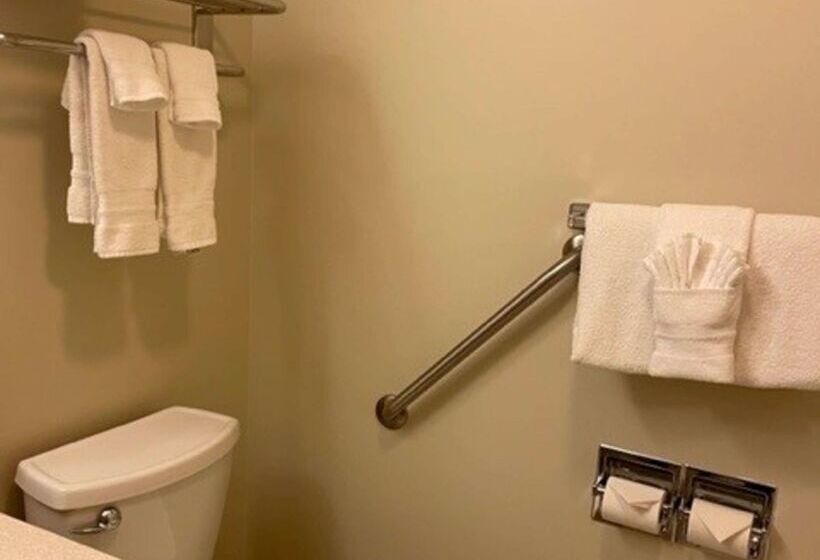 فندق Best Western Inn