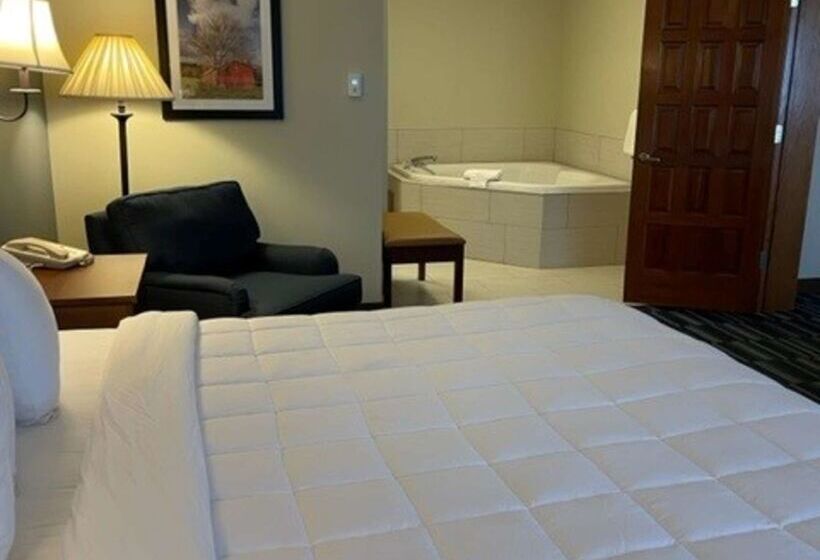 فندق Best Western Inn