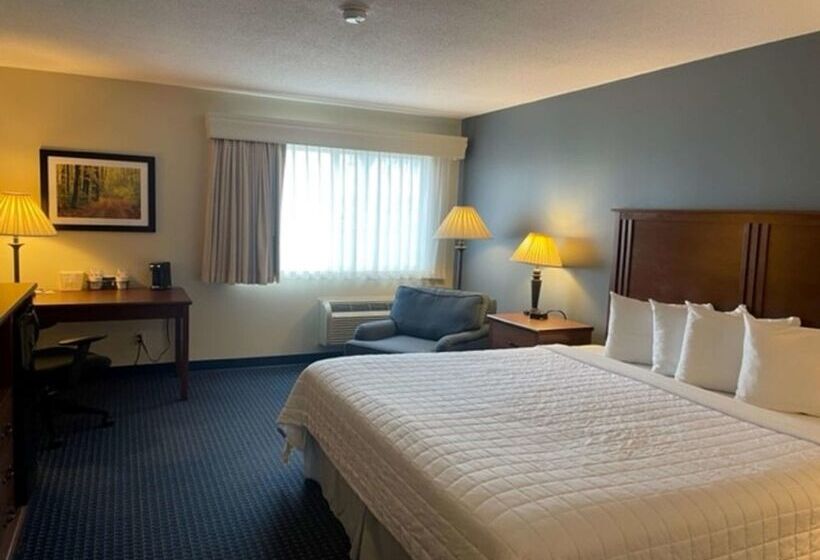 فندق Best Western Inn